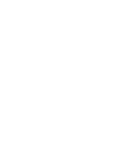 Star Citizen Logo